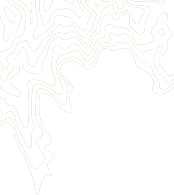 decorative topographic map background